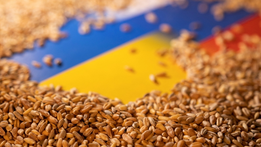Xuất khẩu ngũ cốc ở Ukraine được nối lại: Tháo gỡ nút thắt nguồn cung lương thực